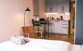 Luxury Apartments Pivovarske Domy